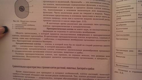 Какие организмы относят к прокариотам? какие организмы относят к эукариотам?