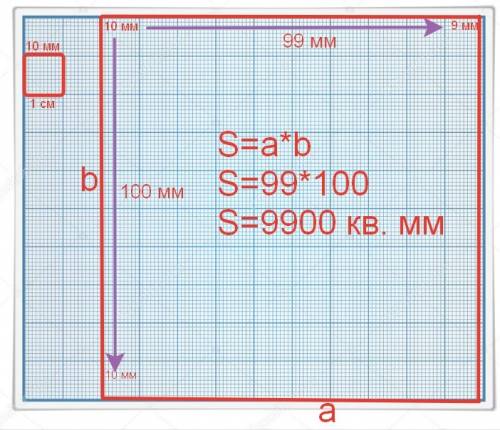 Построй на миллиметровке фигуру,площадь которой равна 9900 кв.мм.