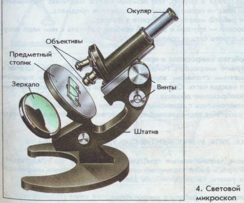 Где находится штатив на микроскопегде находится подошва на микроскопе для чего она служит, . надо ск