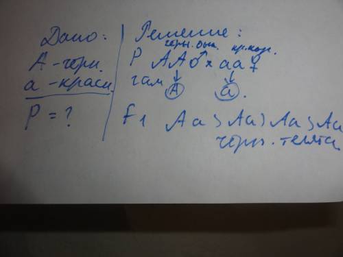 Укоров чёрная окраска шерсти (а) доминирует над красной (а). стадии бык с чёрной окраской шерсти, а