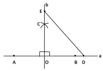Постройте прямоугольный треугольник : по двум катетам , желательно с рисунком . заранее огромное !