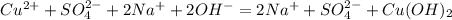 Cu^{2+}+SO_4^{2-}+2Na^++2OH^-=2Na^++SO_4^{2-}+Cu(OH)_2