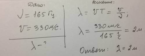 Волна с чистотой колебаний 165 гц распространяется со скоростью 330 м/c.какова длина волны (м)?