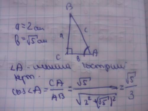 Катети прямокутного трикутника дорівнюють 2 см і корінь 5 см. знайдіть косинусменшого гострого кута