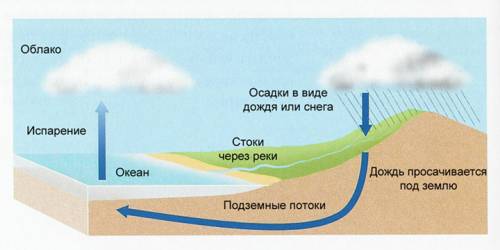 Распределите по порядку. испарение перенос водяного пара выпадение осадков конденсация просачивание