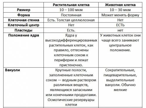 Сравните животную и растительную клетки по строению.назовите их сходства и различия.