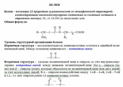 Напишите формулу получения белка, реакция полимеризации.