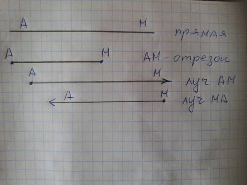 Построй: а) прямую ам, б) отрезок ам, в)луч ам,г) луч ма