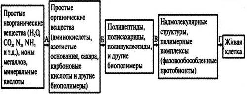 Этапы абиогенеза по а. и. опарину. сколько этапов существует? и дайте им характеристику.