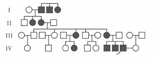 Мужчина страдает ночной слепотой. два его брата тоже больны. по линии отца мужчин, ночной слепотой,