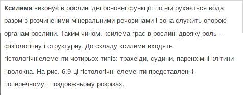 Що спільного та відмінного в будові та функціях корка й ксилеми?