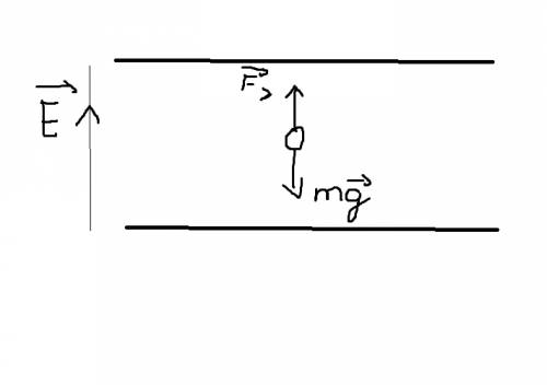 Ввертикальном однородном электрическом поле в состоянии равновесия находится капелька жидкости массо