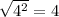 \sqrt{4^{2} }=4