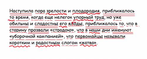 Синтаксический разбор предложения : наступила пора зрелости и плодородия, приближалось то время, ког