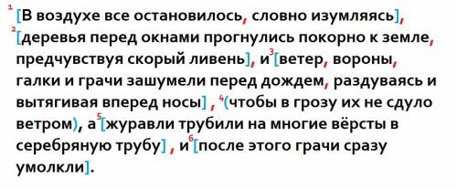 Ввоздухе все остановилось словно изумляясь деревья перед окнами прогнулись покорно к земле предчувст