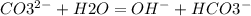 CO3^{2-} +H2O= OH^{-} + HCO3^{-}