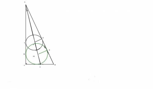 Два одинаковые круга, которые касаются друг друга, вписанные в острые углы прямоугольного треугольни