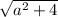 \sqrt{a^{2}+4 }