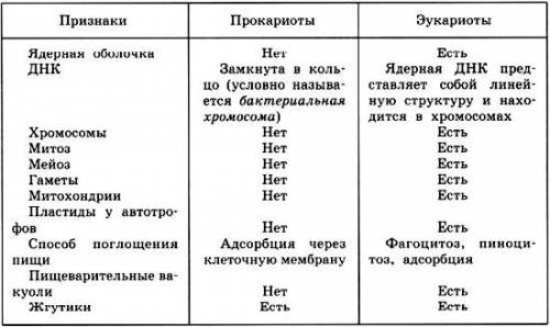 Сравнение клеток эукариот и прокариот . таблица