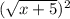 (\sqrt{x+5})^{2}