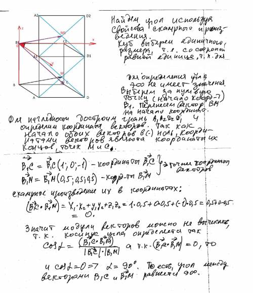 Дан куб abcda1b1c1d1, точка м – центр грани aa1d1d. вычислите угол между векторами bm и b1c