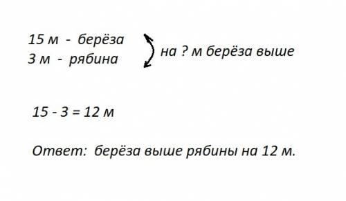 Как мне записать условие условие? высота берёзы 15м. а рябины 3м. на сколько метров берёза выши ряби