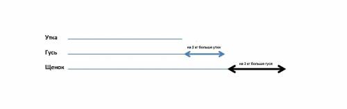 2класса гусь тяжелее утки на 2кг но легче на 3кг чем щенок сколько весит утка.