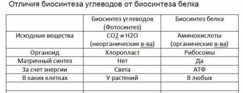 1)в чем отличия биосинтеза углеводов от биосинтеза белка 2)откуда берется кислород, в большом количе