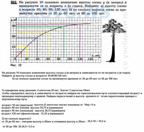 На рисунке 10 показано изменение высоты сосны y (в метрах) в зависимости от ее возраста x (в годах).