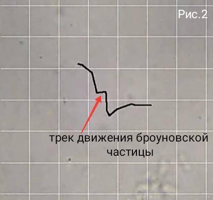 Опишите опыт с которого можно доказать что любое вещество состоит из мельчайших частиц-молекул.