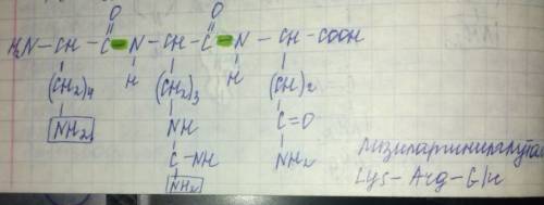 Простая, но почему-то не могу при изучении полипептида было установлено, что в его состав входит 74