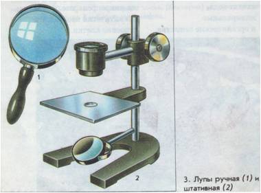 Рассмотрите ручную лупу. напишите названия ещё частей и функции, которые они выполняют 3 части и 3 ф
