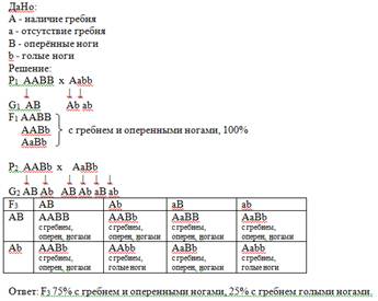 Скрестили гомозиготного петуха, имеющего гребень (а) и оперённые ноги (в), с гетерозиготной курицей