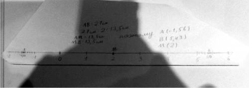 На координатной прямой отмецены точки а(-1,56)и в(5,43). найдите координату точки м-середины отрезка