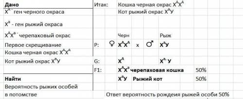 Алелі, що визначають у кішок чорний і рудий колір шерсті, містяться в x-хромосомі. гетерозиготна кіш