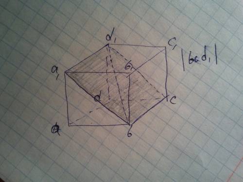 Построить куб abcda1b1c1d1,bc и d1 построить сечение.