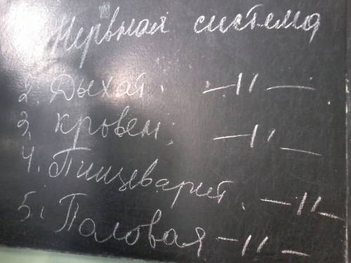 Дыхание аскариды. как дышит аскарида (человеческая) . желательно полный ответ! кто первый будет лучш