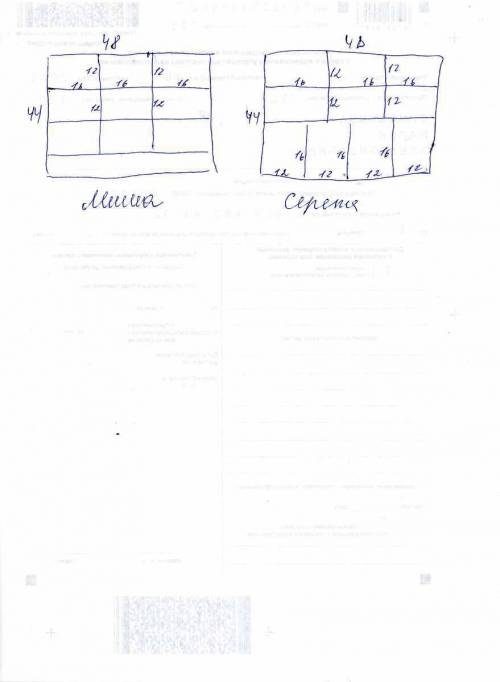 Миша и серёжа вырезали одинаковые карточки из листа картона длинной 48 см и шириной 44 см.размеры ка