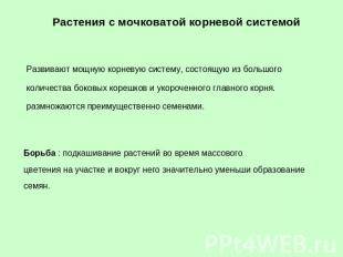 По биологии задали написаать преимущества мочковатой корневой системы.то есть например впитывает вод