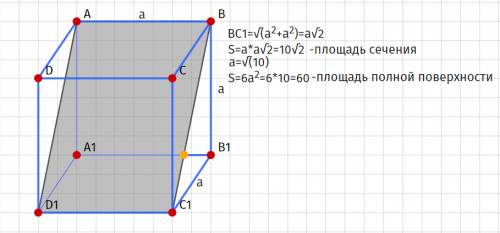 Площадь диагонального сечения куба равна 10√2 см². найдите площадь полной поверхности этого куба. ,