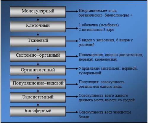 Уровни организации живых организмов