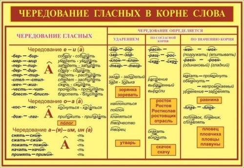 Как понять слова с чередованием гласных в корне