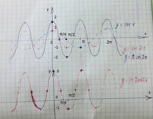 Построить график функции y=1+2cos2x