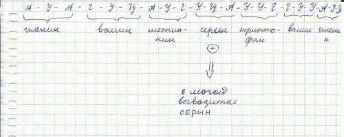 При синдроме фанкоми у больного с мочой выделяются аминокислоты, которым соответствуют кодоны в и-рн