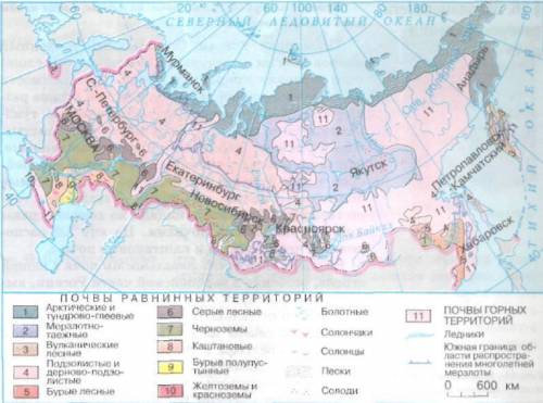 Назовите основные типы почв в россии. какие типы почв в нашей стране. объясните почему?