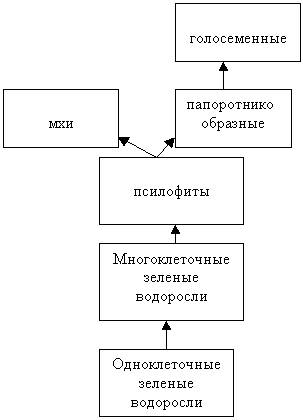 Окружающий мир: составь схему цепи питания, характерной для пустыни. в заранее =*