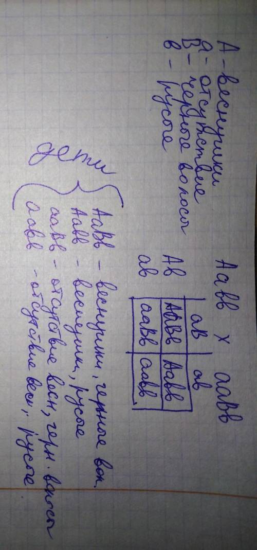 13) у человека веснушки доминанты над их отсутствием, а черные волосы над русыми. какие дети могут р