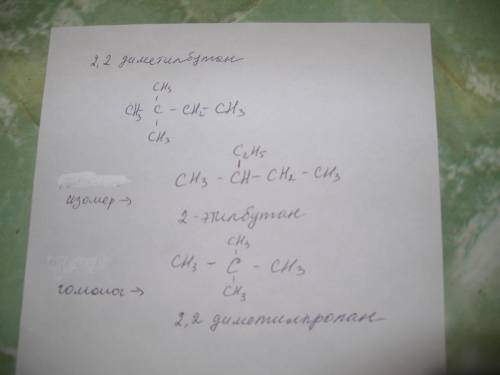 Нужно составить формулы одного изомера и одного гомолога для 2,2-диметилбутана, , .