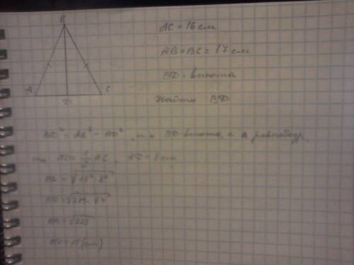Дано: δabc(равнобедренний). основания ac=16см. ab=bc=17см. bd-высота. найти: высоту bd.