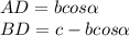 AD = b cos \alpha \\ &#10;BD = c-b cos \alpha